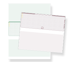 Blank Laser Checks