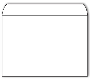 Image for item #01-300: 24 LB. 6X9 Envelope (BLANK)  (50/pack)