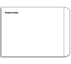 Image for item #01-401: 9 X 12  (OE) 24Lb Envelope Imprinted