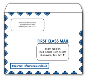 Image for item #07-390: TotalTax Envelope:LANDSCAPE 1st Class Dual Win.