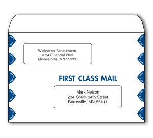 Image for item #07-400: InTax Envelope: 6x9 OS Dual Window - Item: #07-400