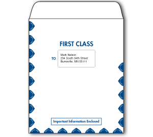 Image for item #07-450: InTax Envelope: 1st Class Organizer Single Window - Item: #07-450