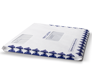 Image for item #07-460: InTax Envelope: 10 x 13 1" EXPANSION Peel & Seal - Item: #07-460
