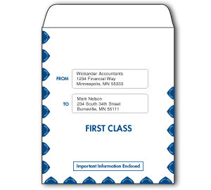 Image for item #07-620: ProTax Envelope: Universal Portrait center cut
