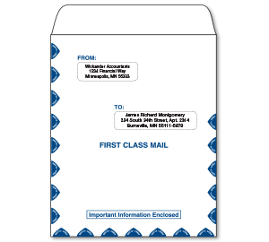 Image for item #07-700: MultiTax Envelope: Portrait return cut MAILING - Item: #07-700