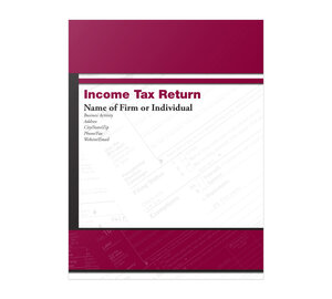 Image for item #10-911_09: 1040 Reflections