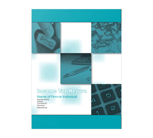 Image for item #10-911_10: Numeric Variety