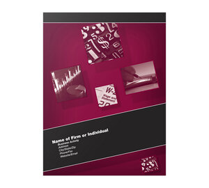 Image for item #10-911_22: Accounting Angle