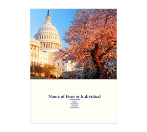 Image for item #10-911_310: Capitol View