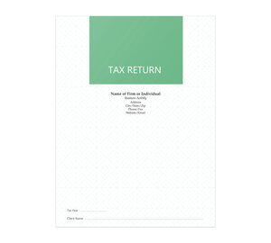 Image for item #10-911_322: Tax Pattern