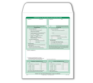 Image for item #29-100: 9X12 Env. Corporate Filing Inst