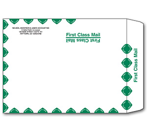 Image for item #42-021: 10 x 13 Tyvek Client Mailing Envelope
