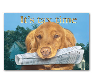 Image for item #70-564: Retreiver Form: It's Tax Time postcard (25/pack)