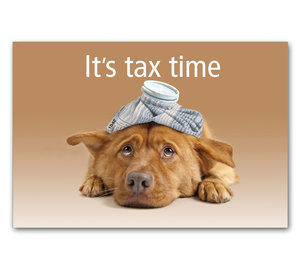 Image for item #70-565: 1040 Dog: It's tax time postcard (25/pack) - Item: #70-565
