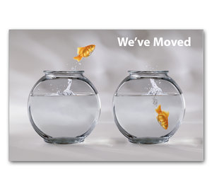 Image for item #70-773: Goldfish We've Moved Postcard (25/Pack)