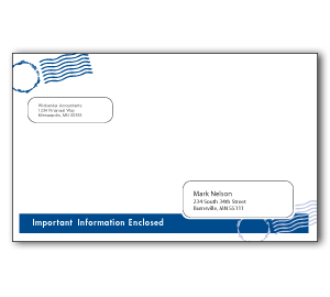 Image for item #82-6000: TotalTax Uniform Envelope (100/pkg)