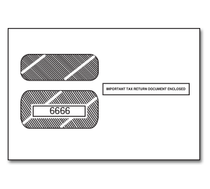 Image for item #82-66661: Double Window Env. for 2-up W-2's - Item: #82-66661