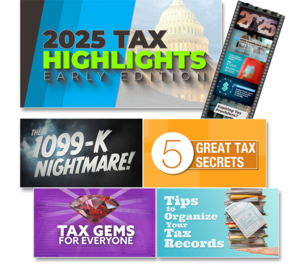 Image for item #96-026: Video Tax Service